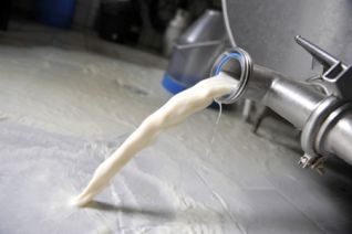 Suppression des subventions à sept centres de collecte de lait à Béja<br/>