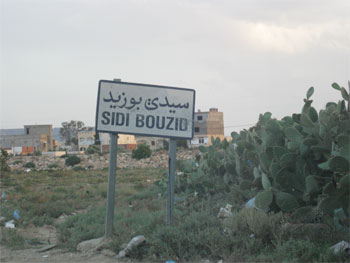 Sidi Bouzid célèbre le festival national du pur-sang arabe