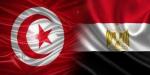 تونس تدعم ترشح مصر لعضوية غير دائمة بمجلس الامن الدولي