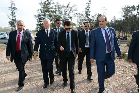 Tunisie- La lutte contre les moustiques, nouveau cheval de bataille du gouvernement