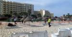 Tourisme tunisien : 1000 MD de pertes suite à l'attaque terroriste de Sousse