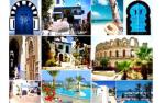Tunisie- Chute de l'activité touristique: le constat est sans appel