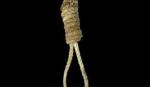 Tunisie-Béja: Découverte du corps d'un jeune de 23 ans pendu à un arbre