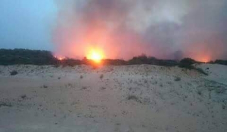 Tunisie- Bizerte: immense incendie près d'un champ de tir de l'armée