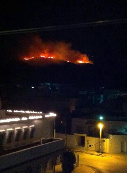 Tunisie , Régions : Bizerte se réveille sur un incendie qui ravage 20 hectares des forêts de Béchateur