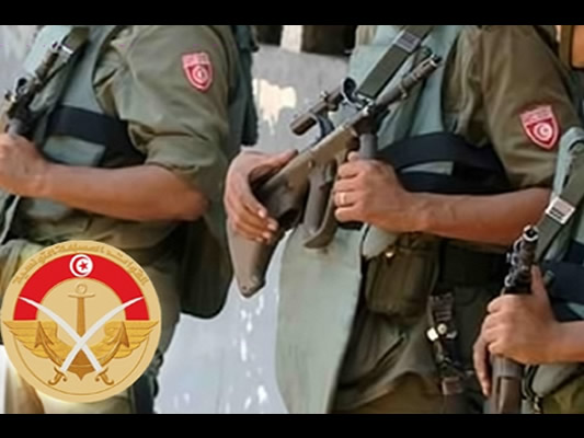 Tunisie-Hammamet: ratissage de Jebel Mrezga
