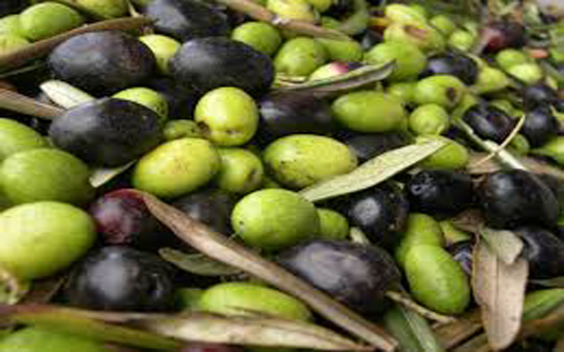 Les prix s'envolent de nouveau HUILE D'OLIVE