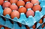 Tunisie ' Fixation du prix de vente des 'ufs à la consommation