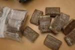 Tunis : 20 kilos de cannabis rejetés par la mer à Bizerte