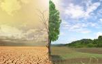 Prier pour qu'il pleuve c'est bien, agir pour l'environnement c'est encore mieux !
