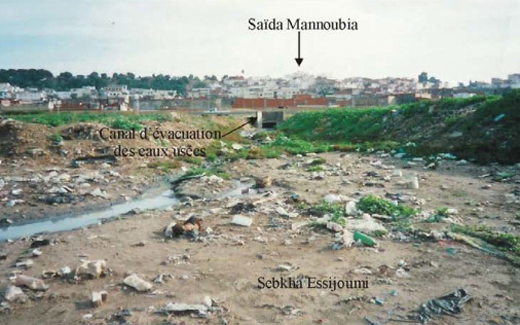 Etude d'aménagement et de valorisation de «Sabkhet Sijoumi» Journée Mondiale des Zones Humides