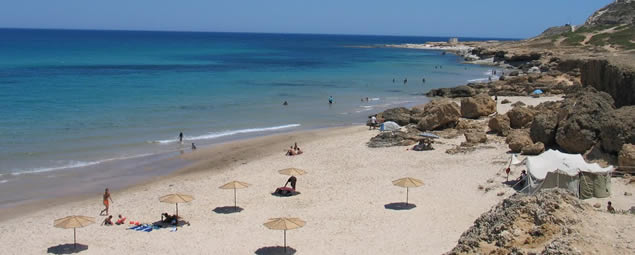 Examen de l'exploitation des plages de Bizerte pour la saison estivale 2016