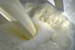 Suspension de la grève ouverte décidée par les centres de collecte du lait à Béja