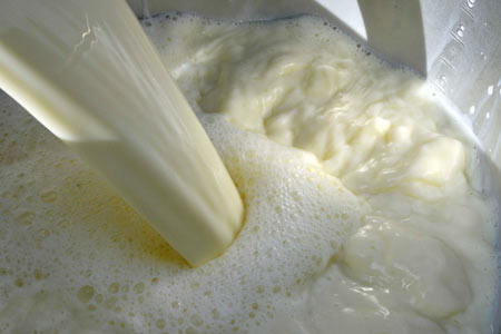Suspension de la grève ouverte décidée par les centres de collecte du lait à Béja