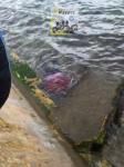 Un cadavre repêché dans le canal de Bizerte