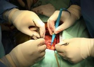 Tunisie : Des mafias se livrent au trafic d'organes volés