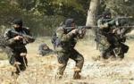 Une cellule terroriste démantelée à Bizerte