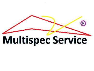MULTISPEC SERVICE