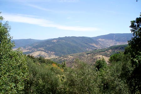 Tunisie - Le mont Chaâmbi, de nouveau, pilonné à l'artillerie lourde