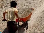 Tunisie-Phénomène de travail des enfants : Bizerte et Jendouba en tête de liste