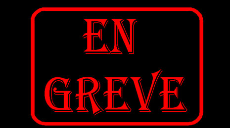 تأجير اضراب ضباط بواخر السفر والبواخر التجارية بالشركة التونسية