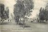 tunisie -ref A141- ben gardane - place des eucalyptus -carte bon etat -