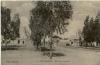 TUNISIE - BEN-GARDANE - Place des Eucalyptus