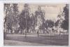 BEN-GARDANE , PLACE DES EUCALYPTUS