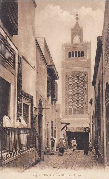 AFRIQUE,AFRICA,AFRIKA,TUN ISIE,TUNISIA,protectorat Français,TUNIS EN 1900,RUE SIDI BEN AROUS,PHOTO LEHNERT ET LANDROCK