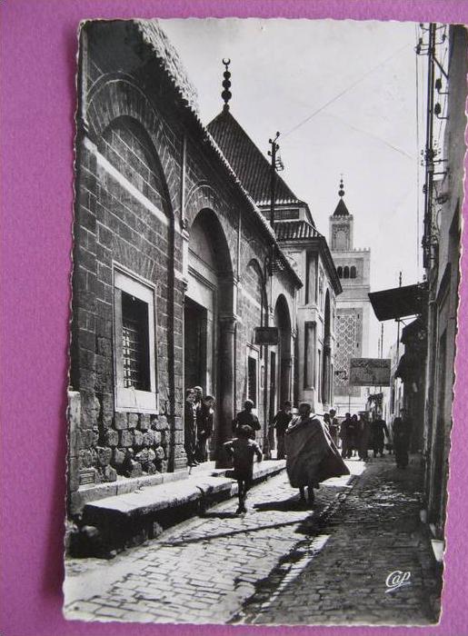 TUNIS (Tunisie) - Rue Sidi Ben Arous