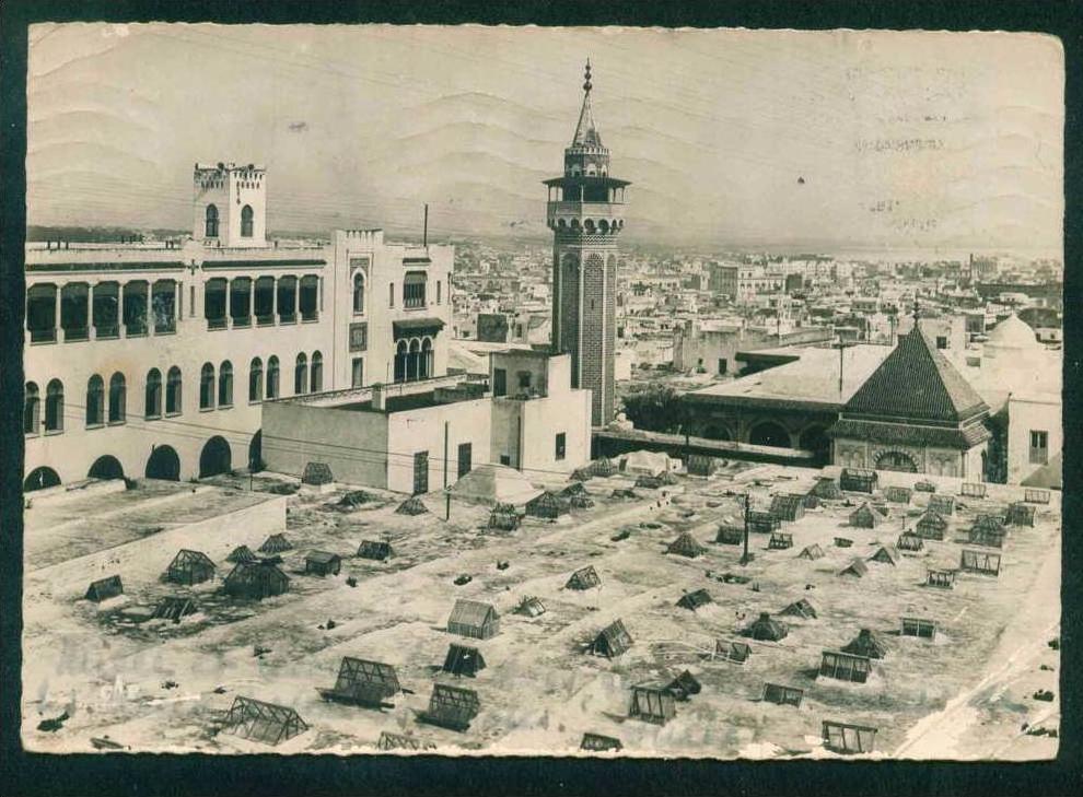 TUNIS - VUE GENERALE ET LE MINARET DE SIDI BEN AROUS - Tunisia Tunisie Tunesien Tunesie 91016