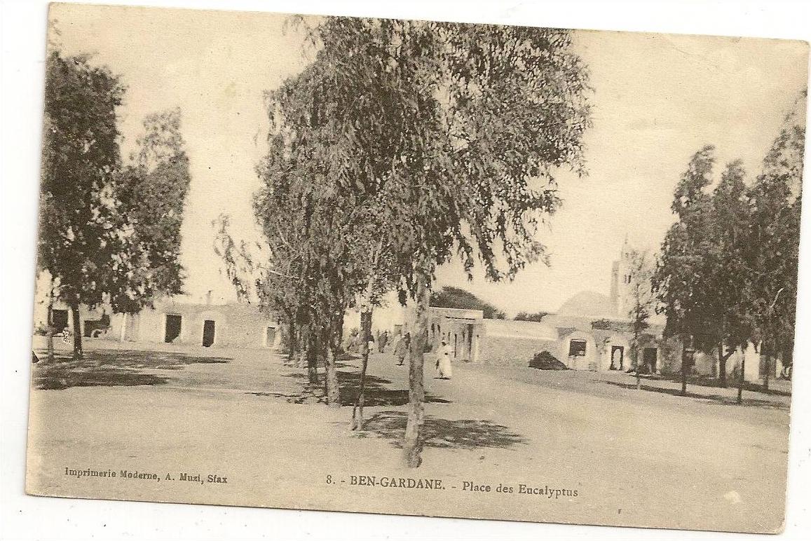 (Tunisie) BEN-GARDANE Place des Eucalyptus