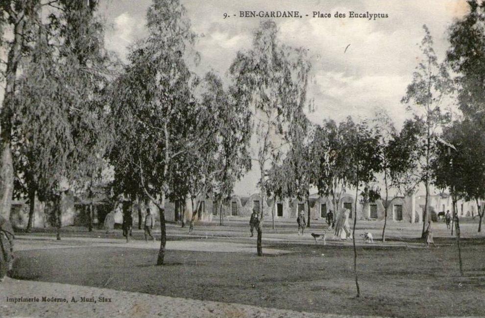 (PP) CPA Ben Gardane place des eucalyptus (bonne etat)