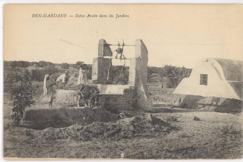 CPA TUNISIE - BEN-GARDANE - SCENE ARABE DANS LES JARDINS