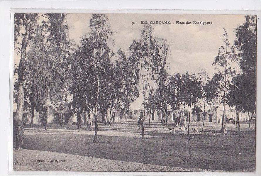 BEN-GARDANE , PLACE DES EUCALYPTUS
