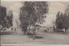 BEN-GARDANE - Place des Eucalyptus