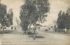 afrique,tunisie,1916,ben guerdane,ben gardane,prés de la lybie,place des eucalyptus,rare