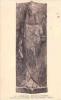 CPA CARTHAGE - MUSEE LAVIGERIE