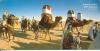 CPM format long - Festival de DOUZ - Sud Tunisien - désert, chevaux et chameaux