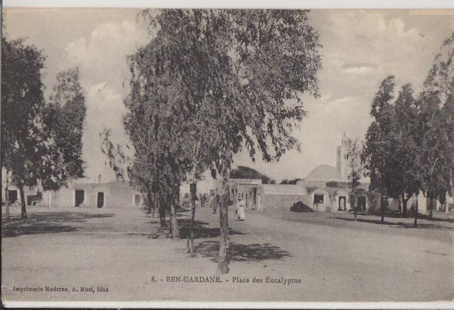 BEN-GARDANE - Place des Eucalyptus