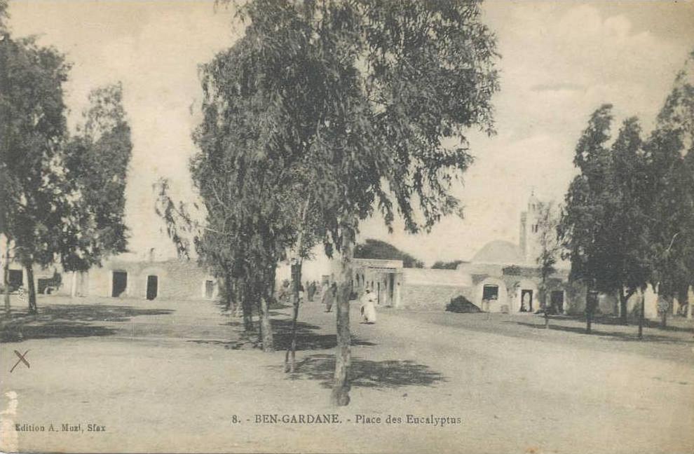 afrique,tunisie,1916,ben guerdane,ben gardane,prés de la lybie,place des eucalyptus,rare