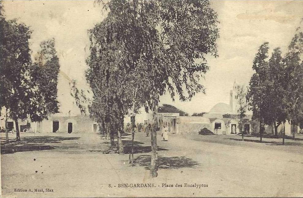 TUNISIE - Ben Gardane Place des Eucalyptus