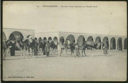 TUNISIE BEN GARDANE / Arrivée d'une caravane au grand souk /