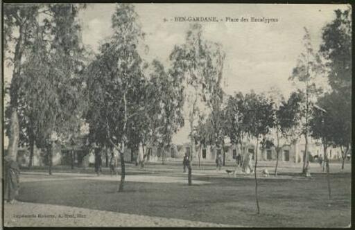 TUNISIE BEN GARDANE / Place des Eucalyptus /
