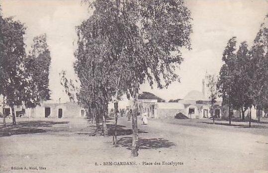 TUNISIE.BEN GARDANE.PLACE DES EUCALYPTUS