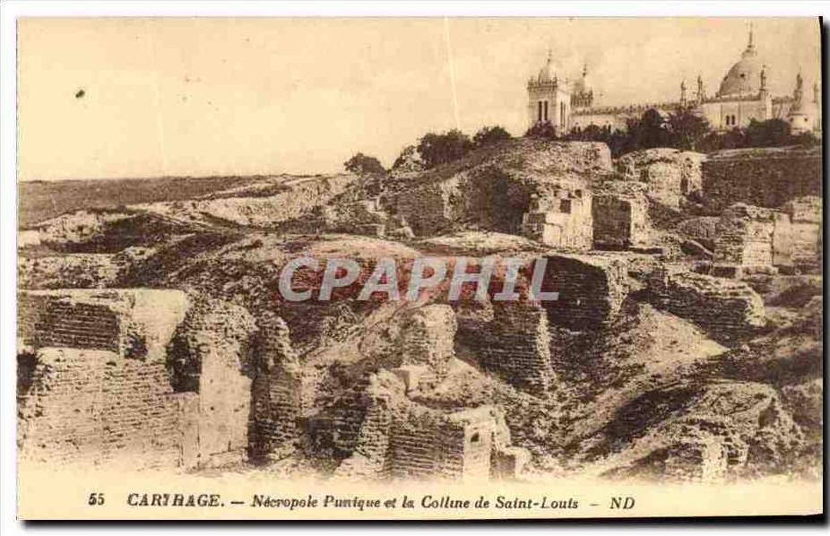 CPA Carthage Necropole Punique et la Colline de Sainte Louis