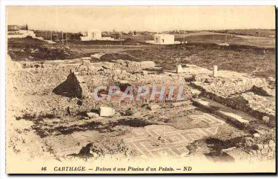 CPA Carthage Ruines d Une Piscine d Un Palais