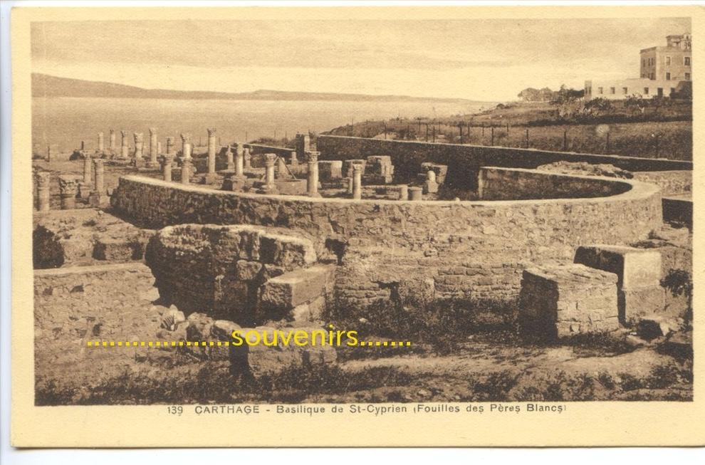 CPA TUNISIE CARTHAGE Basilique de St Cyprien -