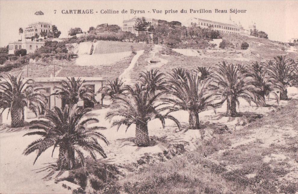 cpa Carthage colline de Byrsa, vue prise du pavillon Beau Séjour 7