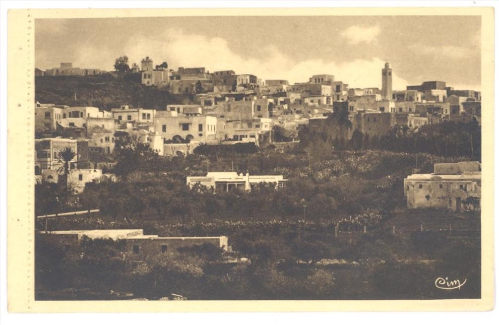CPA TUNISIE - CARTHAGE - Vue Générale de Sidi Bou saïd